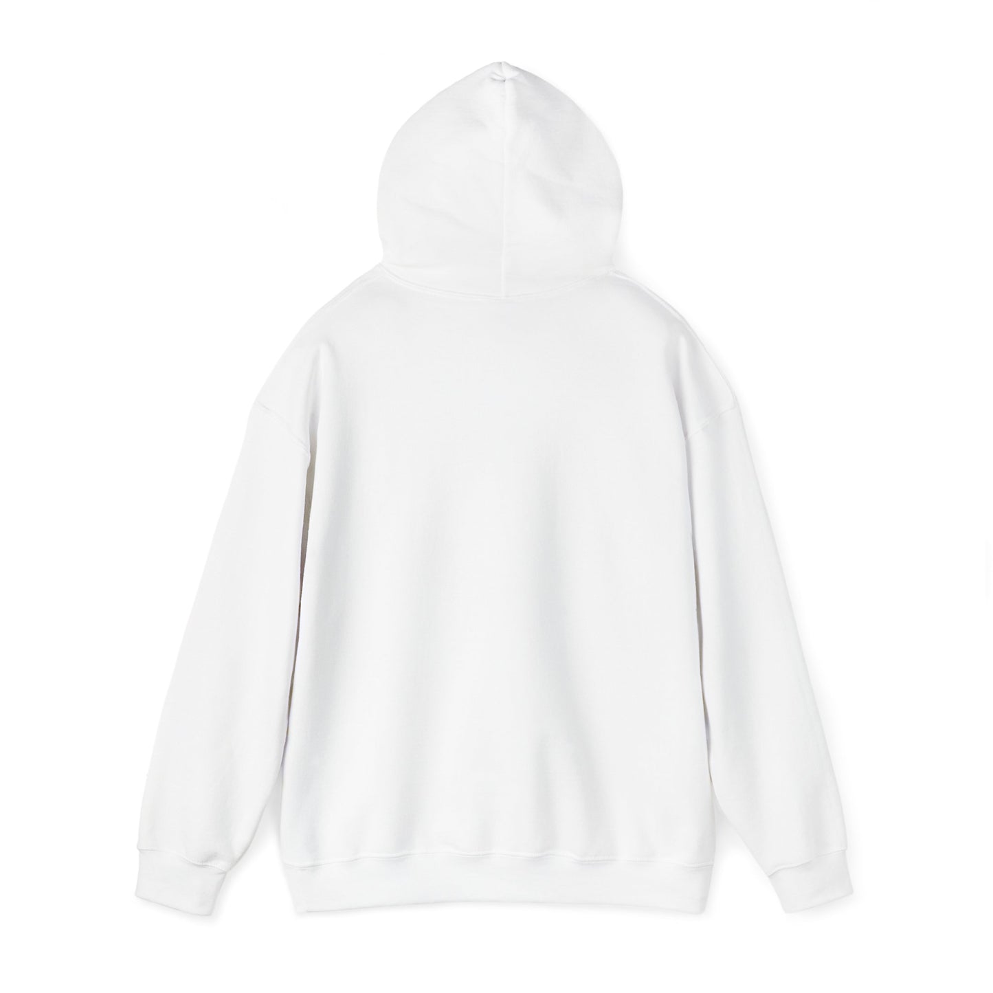 Hooded Sweatshirt - Faith with God Hebrews 11:1