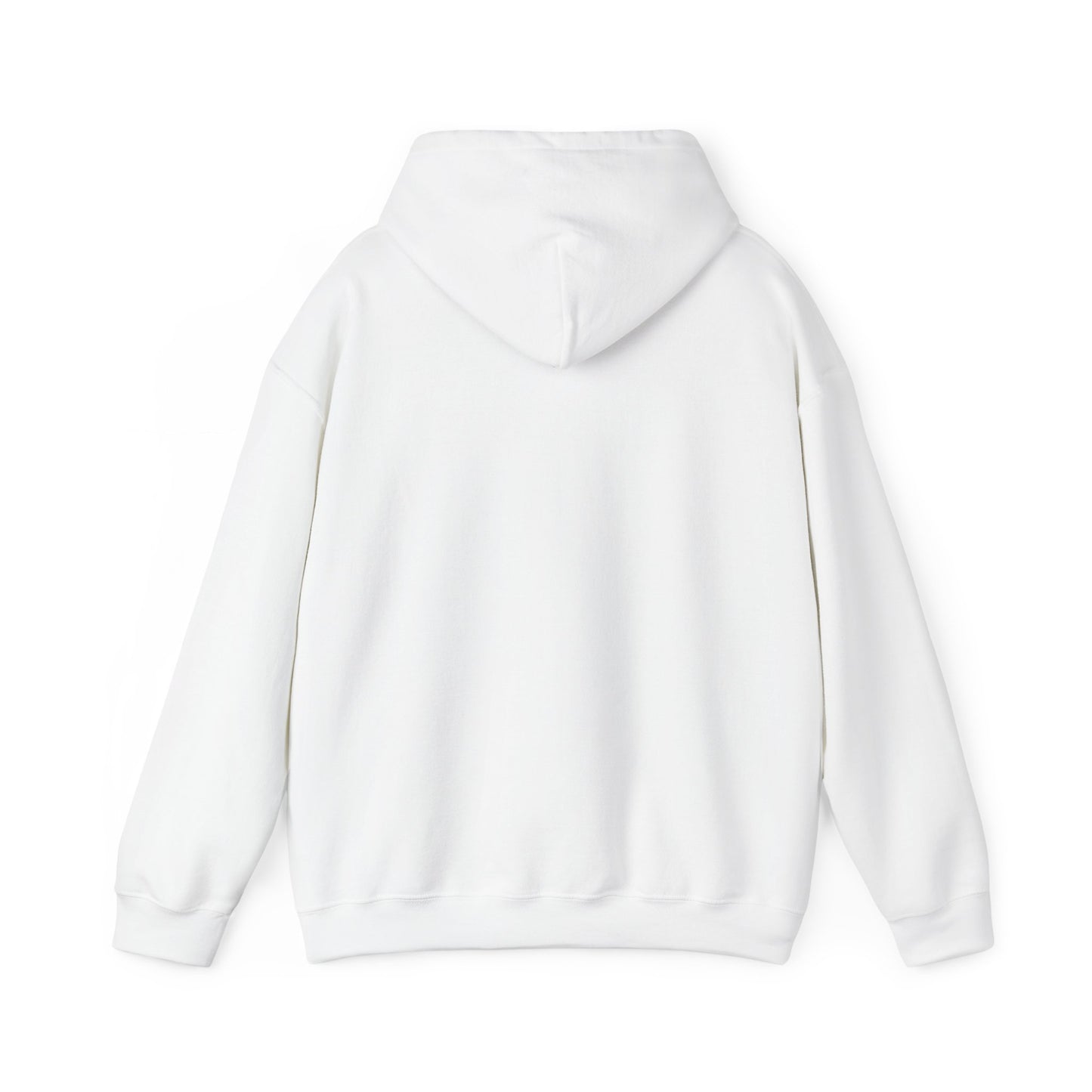Hooded Sweatshirt - Faith with God Hebrews 11:1